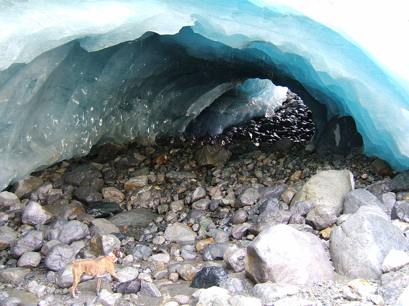 Il ghiacciaio del Morteratsch - Piz Bernina